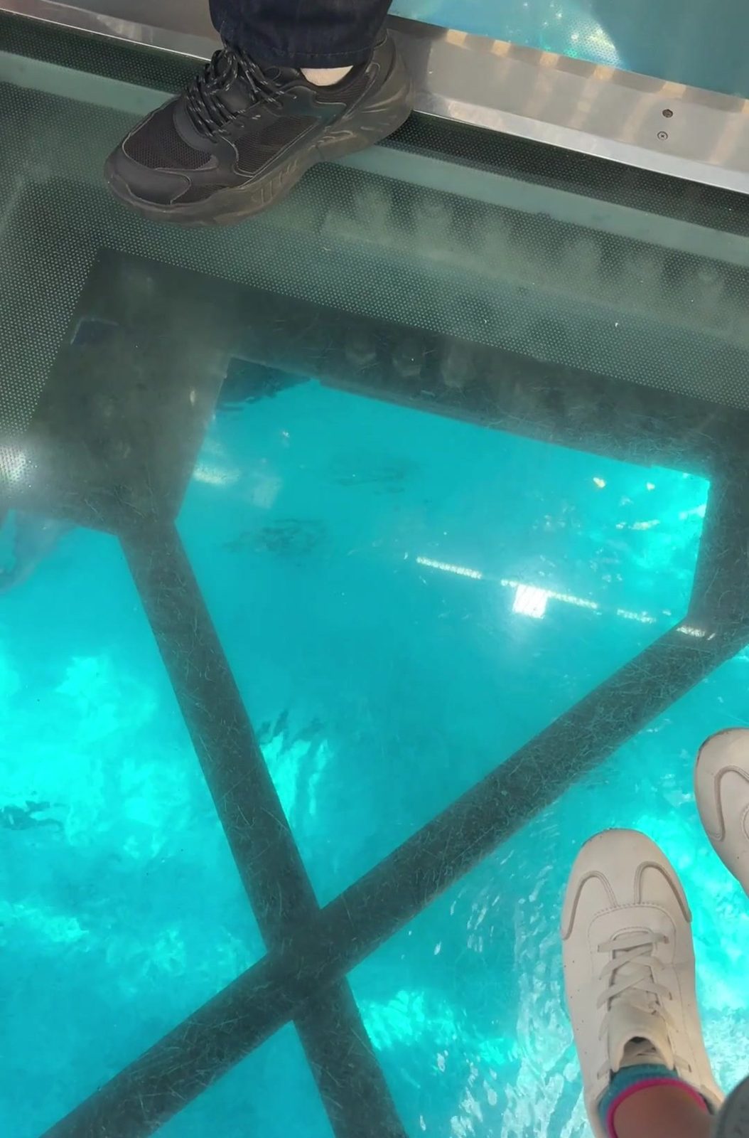 ガラスの床越しに見える水槽