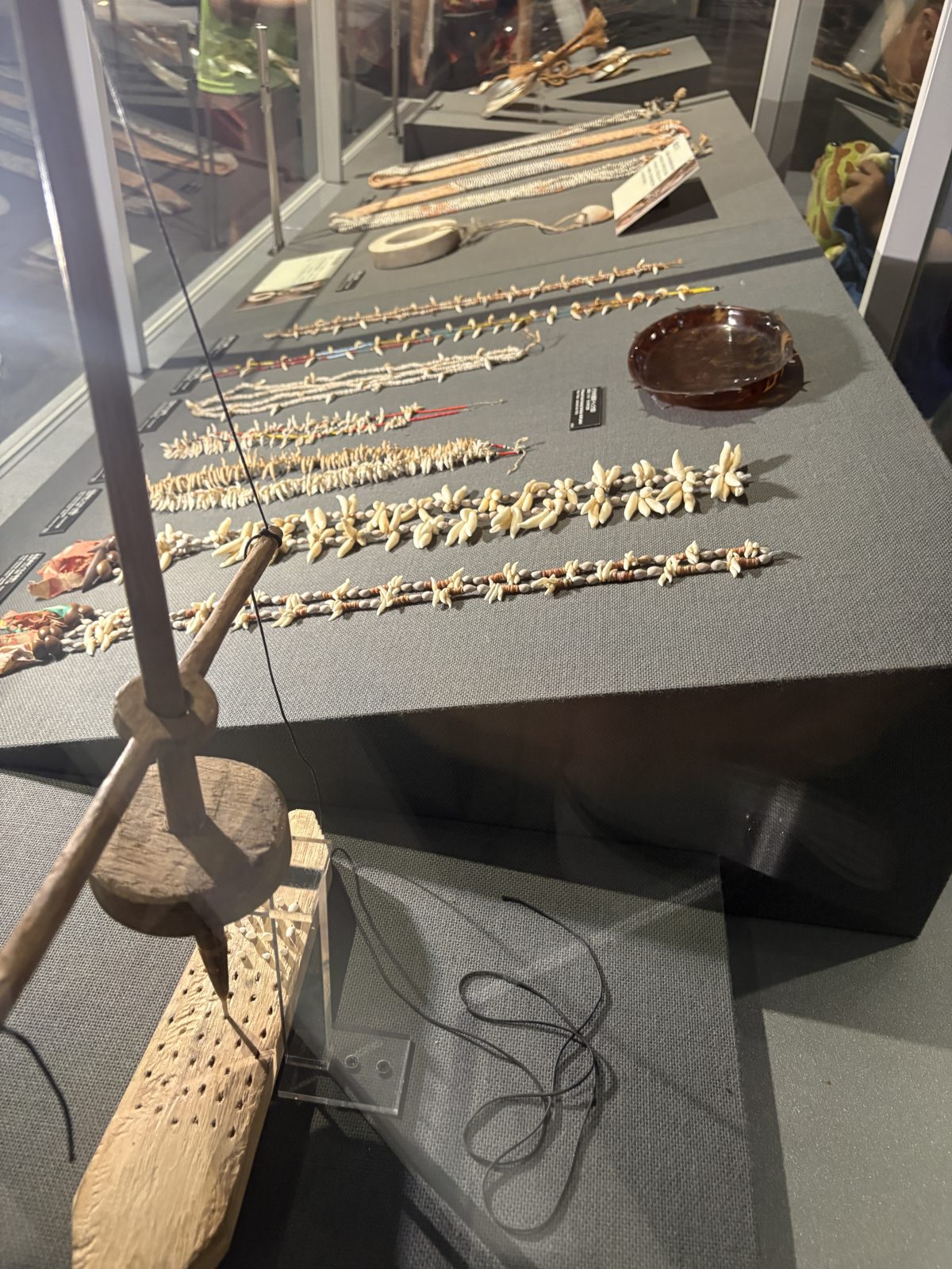 海洋文化館の展示ケース